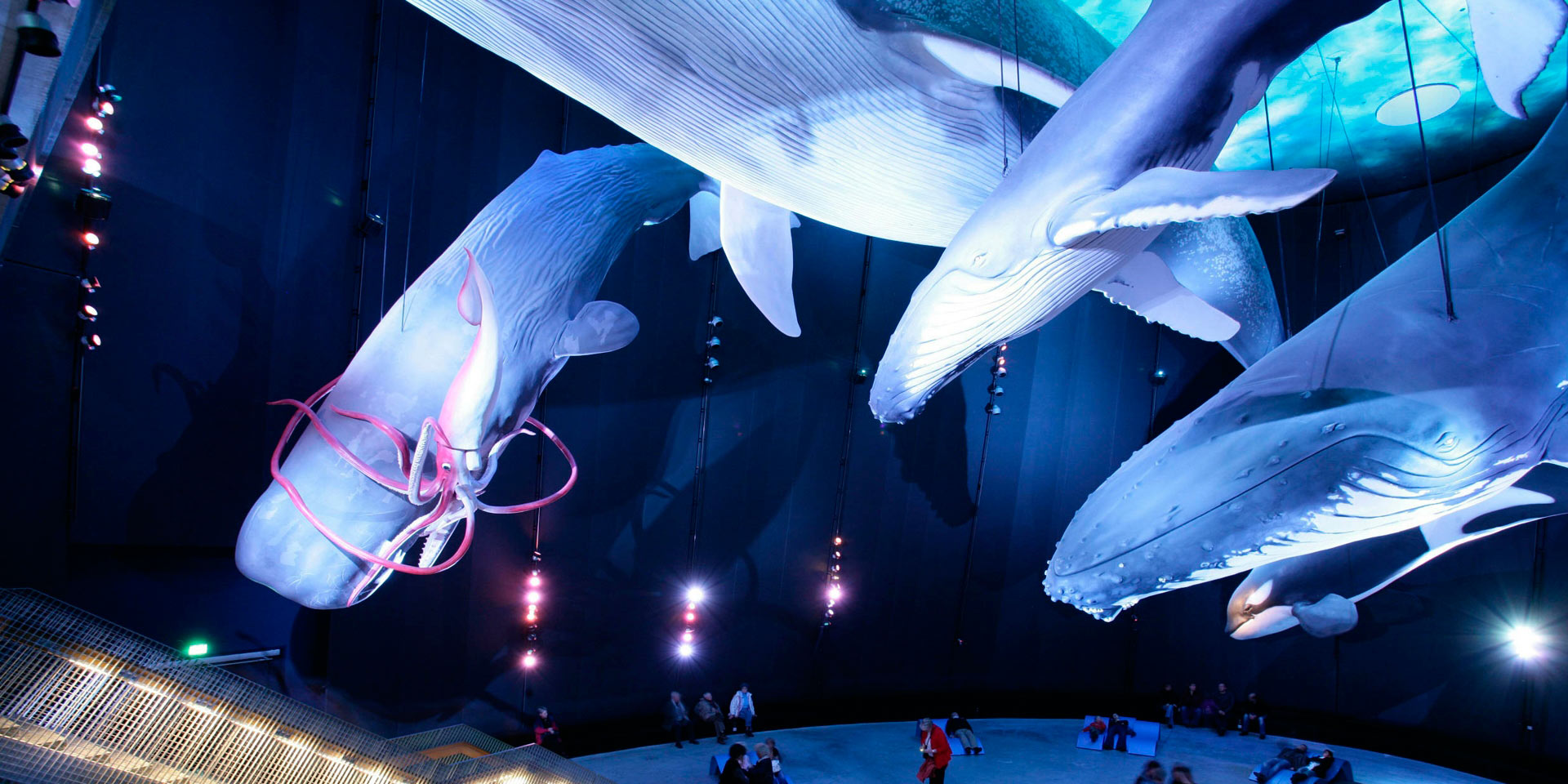 設(shè)計(jì)從驚嘆開(kāi)始